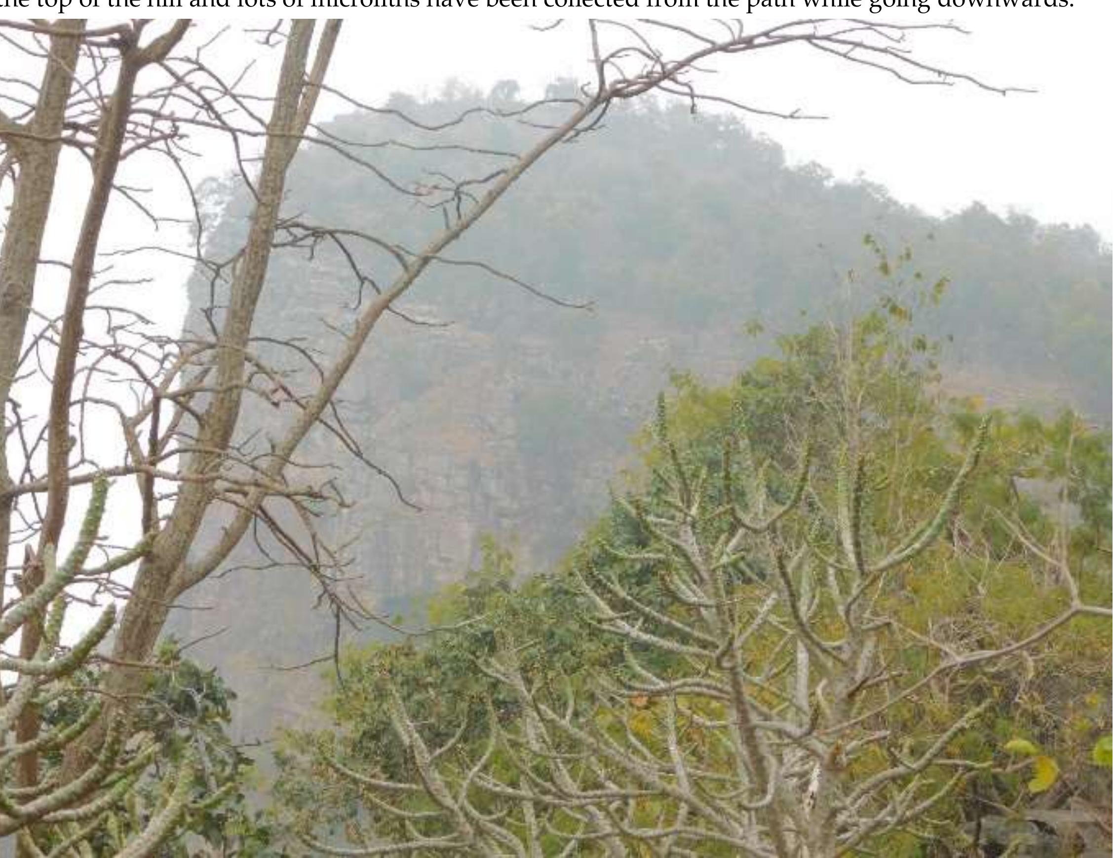 Fig. No. 09: A view from the top of the site (Khukhma Khoh) and Stone Tools found from the Site 