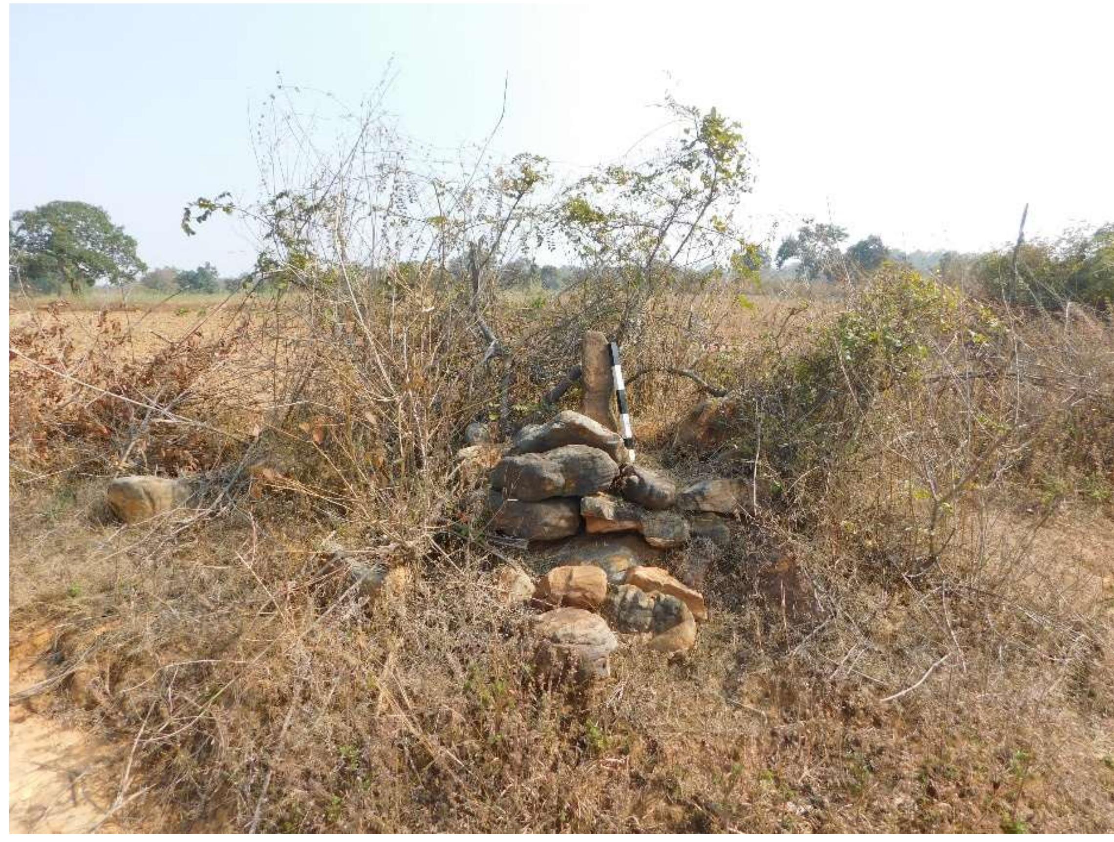 Fig. No. 13: Menhir type Megalith from Shravandag I, Village Shravandag 