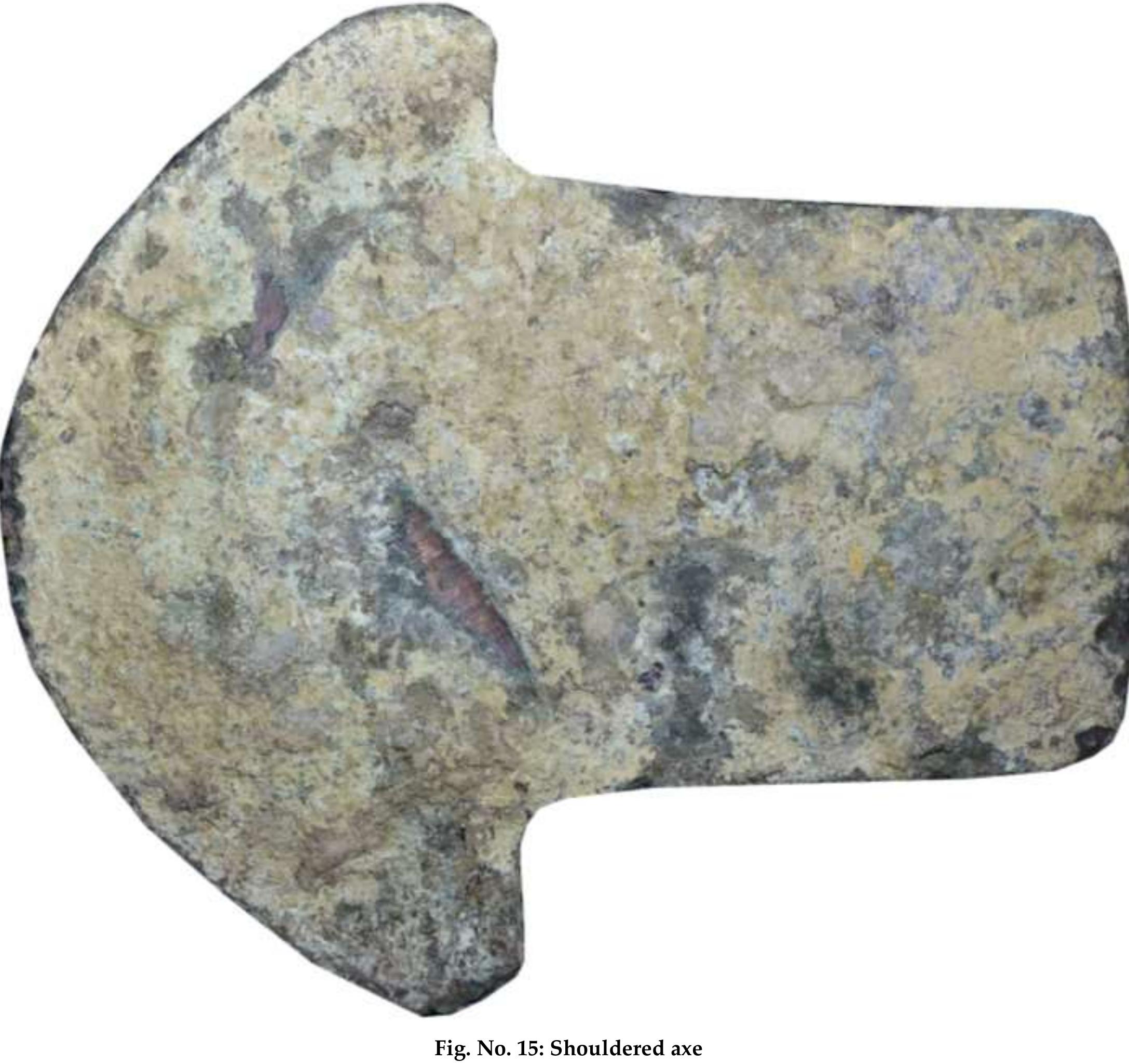 Vew Copper hoard acquired by Shahjad Rai Research Institute, Baraut district Baghpat U.P. & Personal Collection of Atul Mishra, Chandausi district Chandausi U.P. 