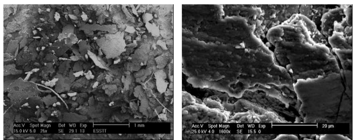Compound Layer (PDF) Study of the Effect of Gas Nitriding Time on Microstructure and ...