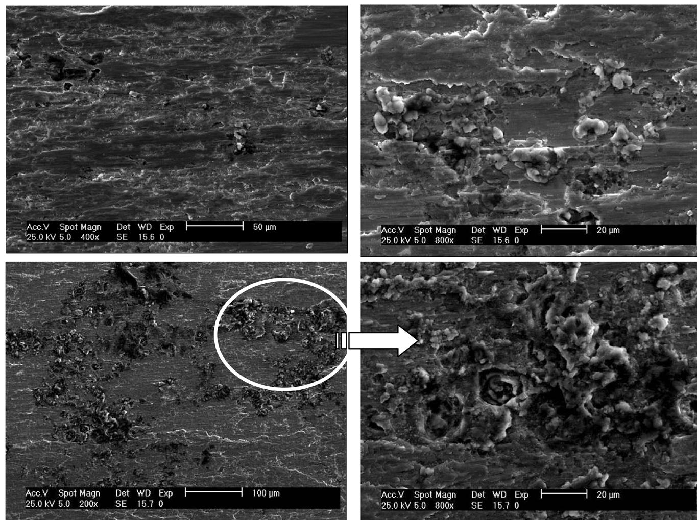 Sem micrographs of a worn nitrided surface after high
