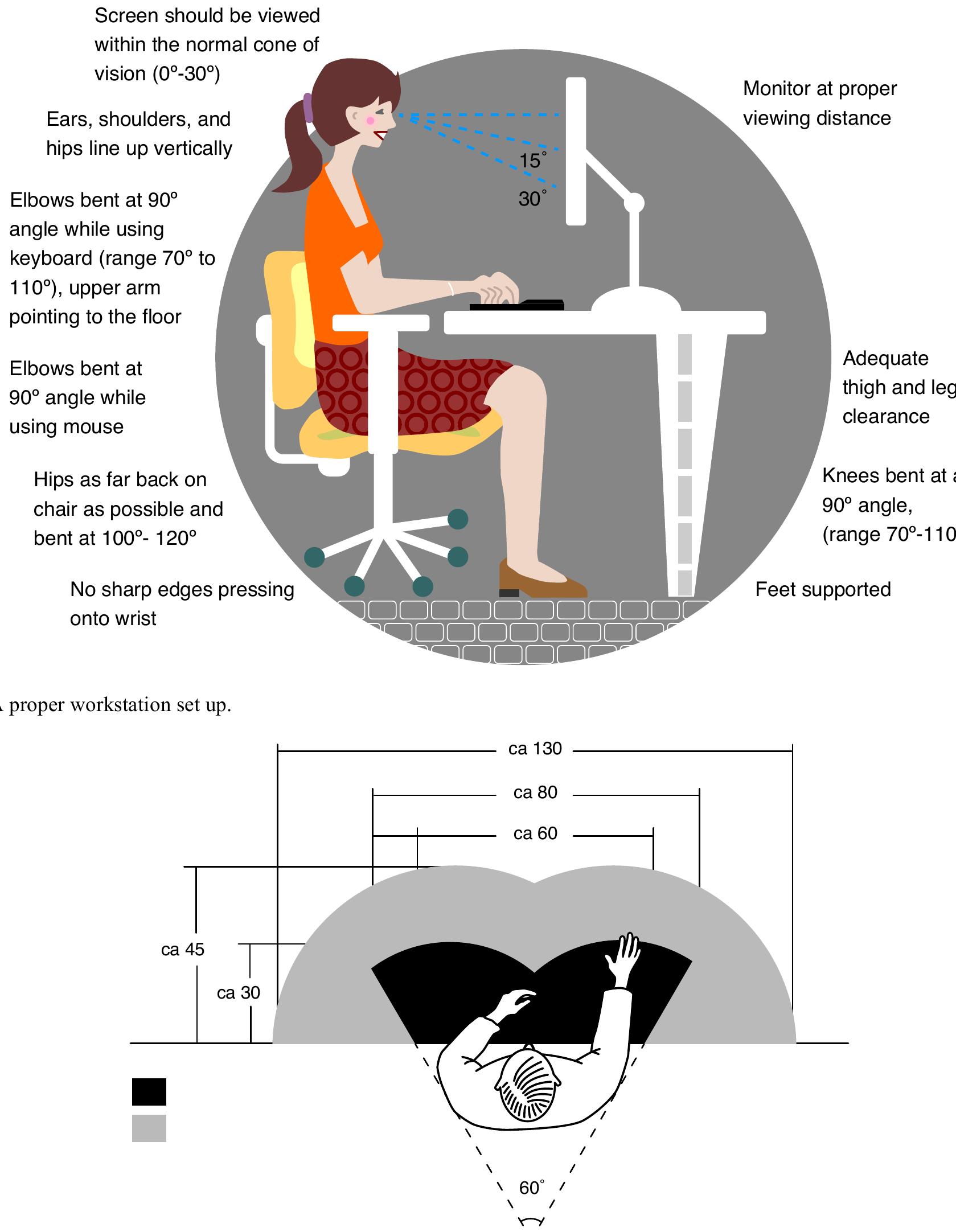 (PDF) The Changing Face of Office Ergonomics