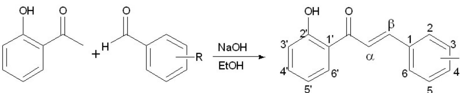 (PDF) Synthesis of Some Chalcone Derivatives, in Vitro and in Silico ...