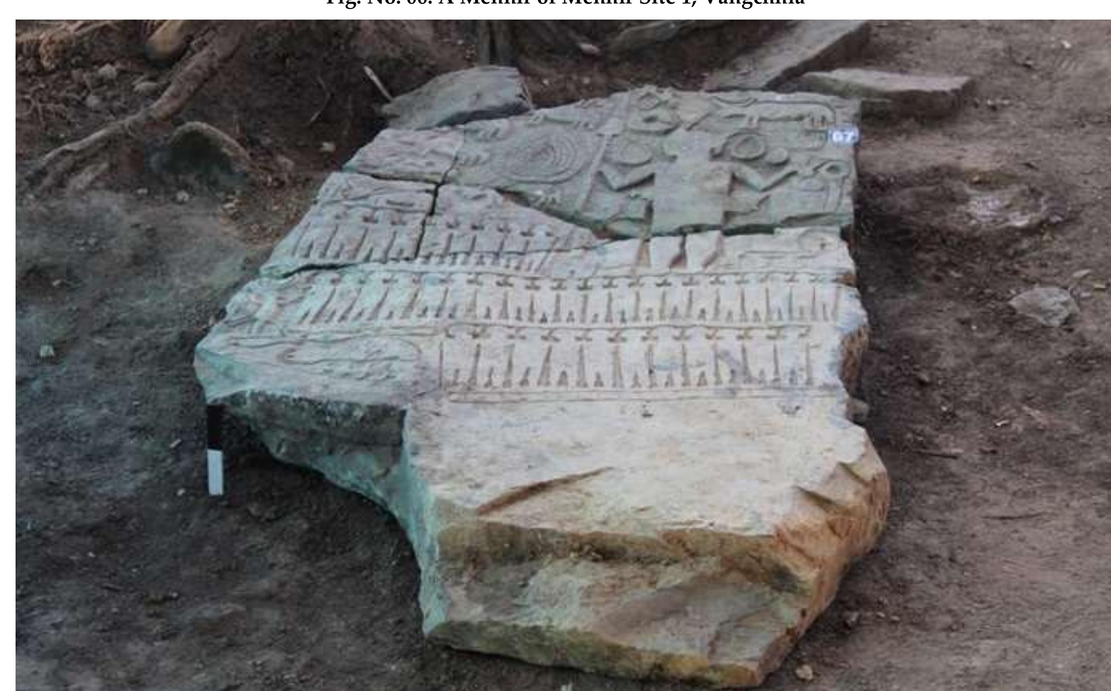 Fig. No. 07: A Menhir of Menhir Site 1, Vangchhia 