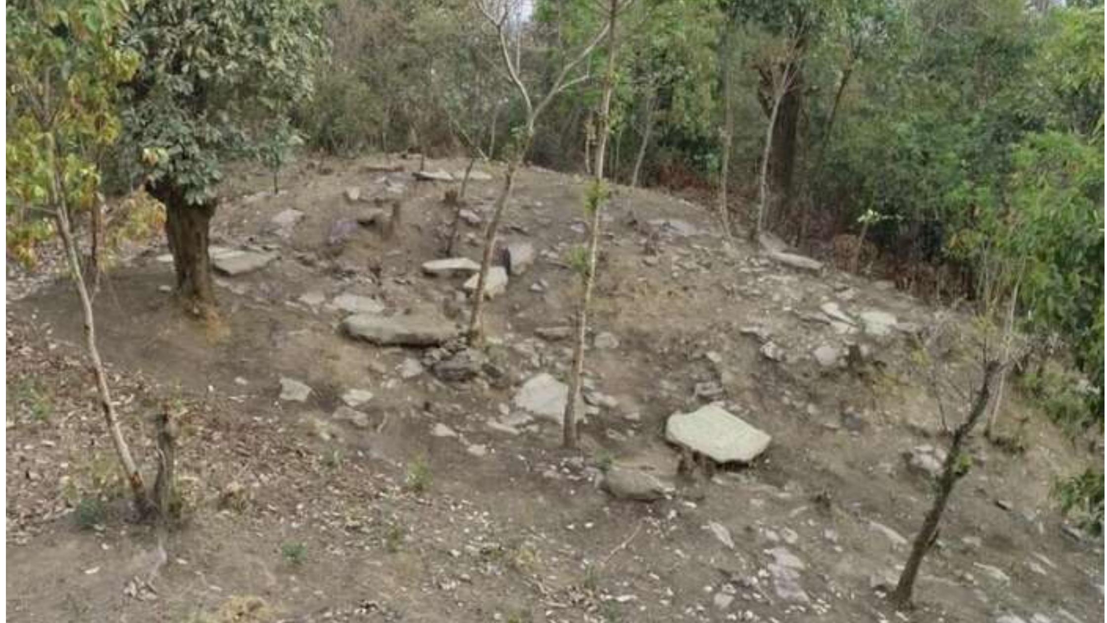 Fig. No. 11: General View of Menhir Site No.3  i  Above the raised structures, there are few stone slabs spread around in the form of possibly slab coffin. This site is located 50 meters behind Menhir Site no.1 (protected) led by pathway made of semi-dressed stone masonry and it is somewhere not exposed so far. The Site has been discovered in 2018 during exploration. The depth of this Site from Menhir Site-1 is approx. 30meters. The area of this site was 6m x 7.10 x 7.20m x 8m. There are so many broken menhirs which were buried beneath the earth covered with thick vegetation. First of all, the vegetation was removed linking with menhir site no.1. There are different carvings in relief and some of which were readily observable such as human figure, Bos, spear, shield, fish, turtle, moorhen (?), giant squirrel (?), deer, and lizard (?). It revealed two bastions connecting between MS-1 & MS-3. In due course of removal of humus, we could expose eight broken  menhirs which are lying scattered haphazardly on the surface and it seems that it was ravaged by 
