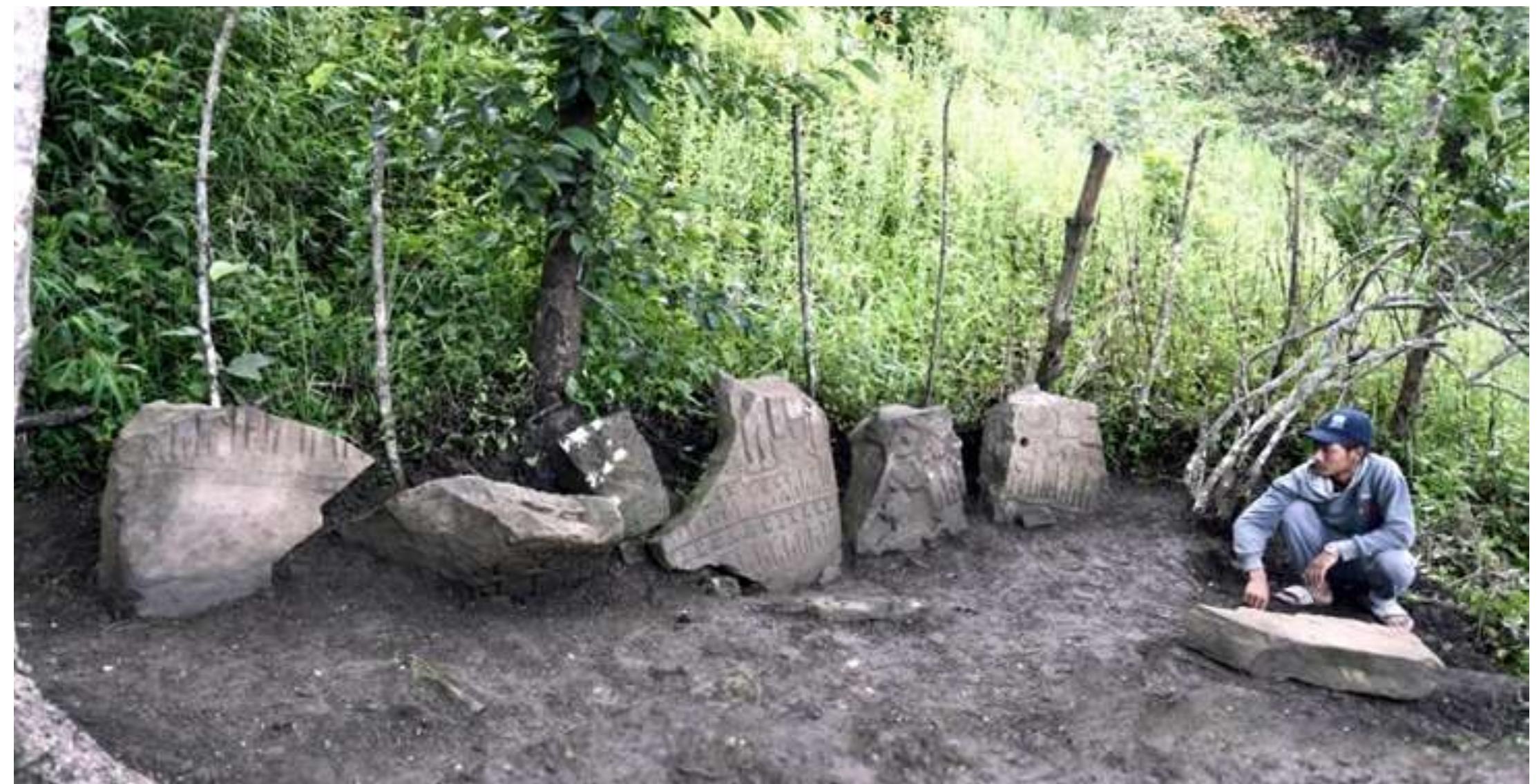 different shape and sizes. The engraving is done in bold relief carving (Fig. 13-14).  JVICIMIIT SITE INOWS UN 2O°LL.ULO &@ UID OO LE, ClOVATLOM. 1,405 ly. Lhe site 1S located On me eastern slope of Ralven Puk Tlang (Tlang Means Mountain), about 80m walk to the eastern side of the ASI protected site. The site has been titled as locality-1 for the convenience of documentation. There are nine menhirs on the top of terrace. These menhirs were erected and have fallen on the terrace which measure 10.7m (1) X 10m (b) X 0.83m (h). Ten steps made of semi- dressed stones are found on the side of the terrace. Two of the menhirs are lying in the southern side on the slope. The rest of six menhirs are standing on the corner of the terrace in the northern side. All of them are broken. They are of  different shave and sizes. The engraving is done in bold relief carving (Fig. 13-14).  Fig. No. 13: After cleaning General View of Menhir Site No.4 