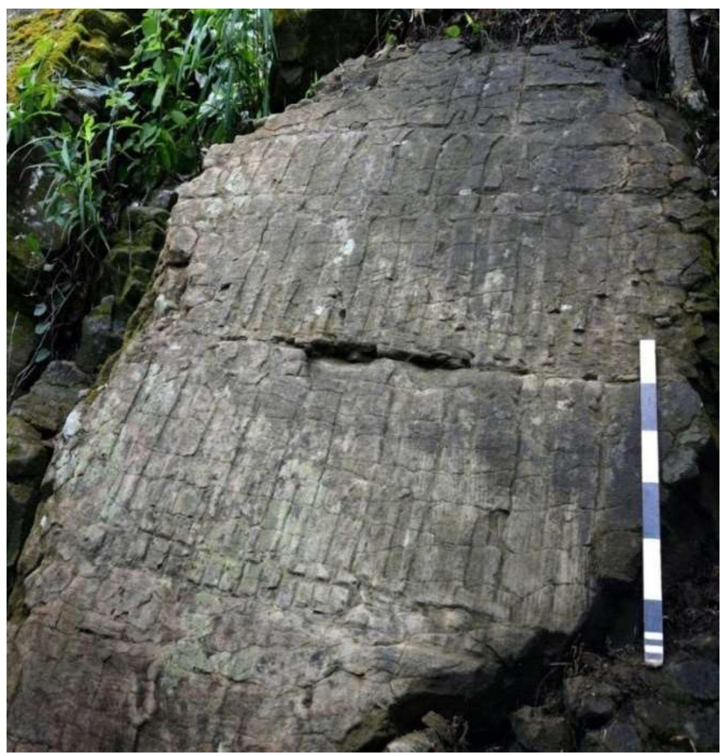 Fig. No. 17 A: Petroglyph III, Vangchhia 