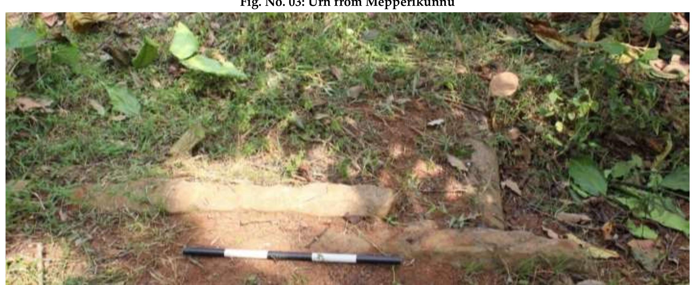 Fig. No. 04: Unexcavated Cist burial from Mepperikunnu Locality 1 