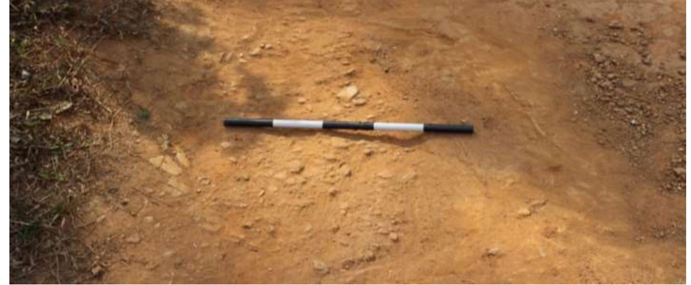 Fig. No. 06: Remains of Urn from Mepperikunnu Locality- 2  Mepperikunnu Locality — 2: Mepperikunnu locality — 2 (11°38’47.33” N; 076°11’20.44” E) is located just 20m away from Mepperikunnu Locality - 1. Geographically the land is a slope containing red soil. Nearest water source of the site is Pattipettapalam stream. Exploration at the site yielded some sherds of an urn burial (Fig.6); it is completely broken during some construction activities. A few  fragments of the same are remaining now. 