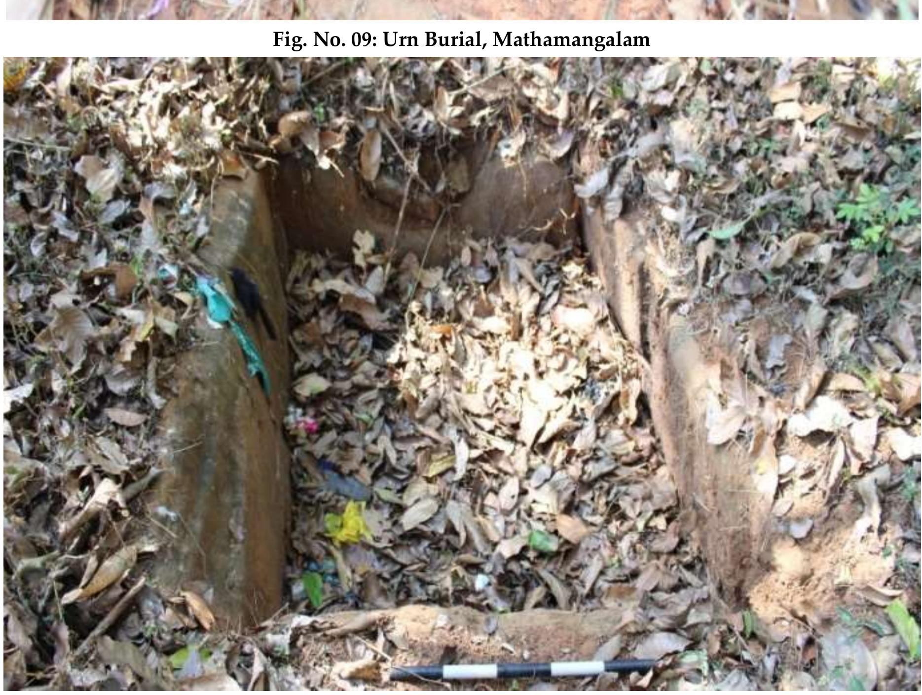 Fig. No. 10: Cist, Mathamangalam 