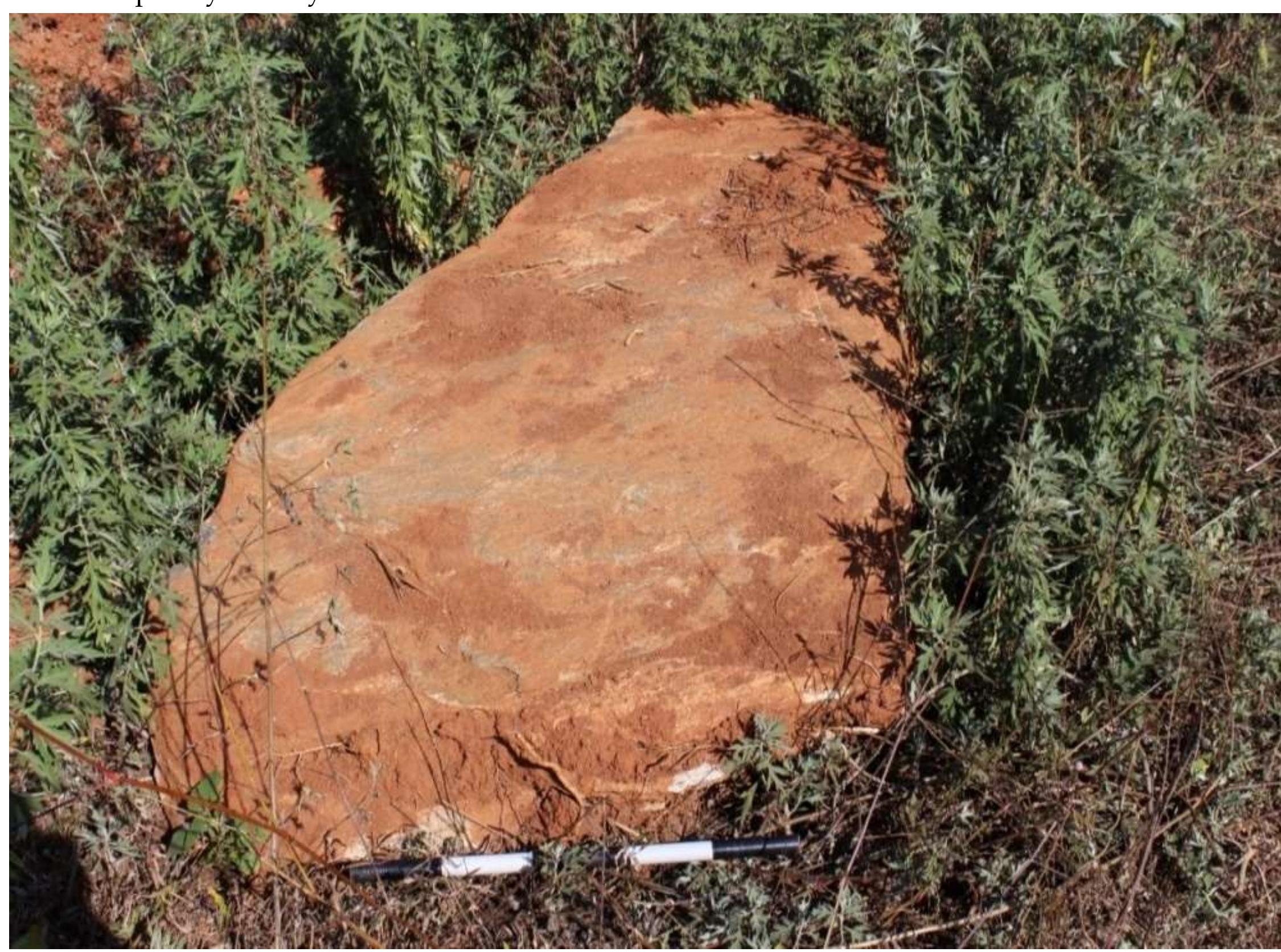 Fig. No. 11: Granite orthostat of Cist, Mathamangalam Locality 2 