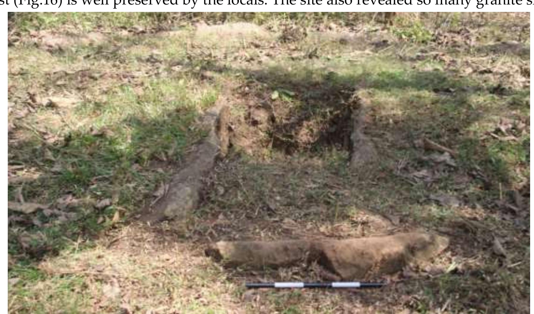 Fig. No. 15: Cist Burial 1 , Madoorkavala 