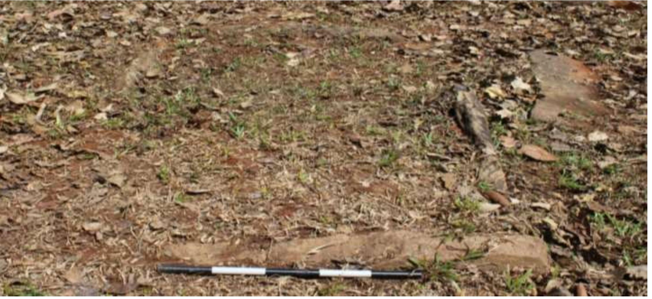 Fig. No. 18: Cist Burial, Rattakundu Locality - 2  unexcavated cist burial (Fig.18) made of granite rock sheets.  Rattakundu Locality - 2: Rattakundu Locality - 2 (11°39’00.80” N; 076°12’01.03” E) is located 1km away from Rattakundu Locality - 1. Geographically, the site is in an elevated place from road. The site located inside a teak plantation of forest department contains blackish red soil and some granite rock formation. Ambalathodu stream is the nearest water source. Exploration at the site yielded one  unexcavated cist burial (Fig.18) made of granite rock sheets. 