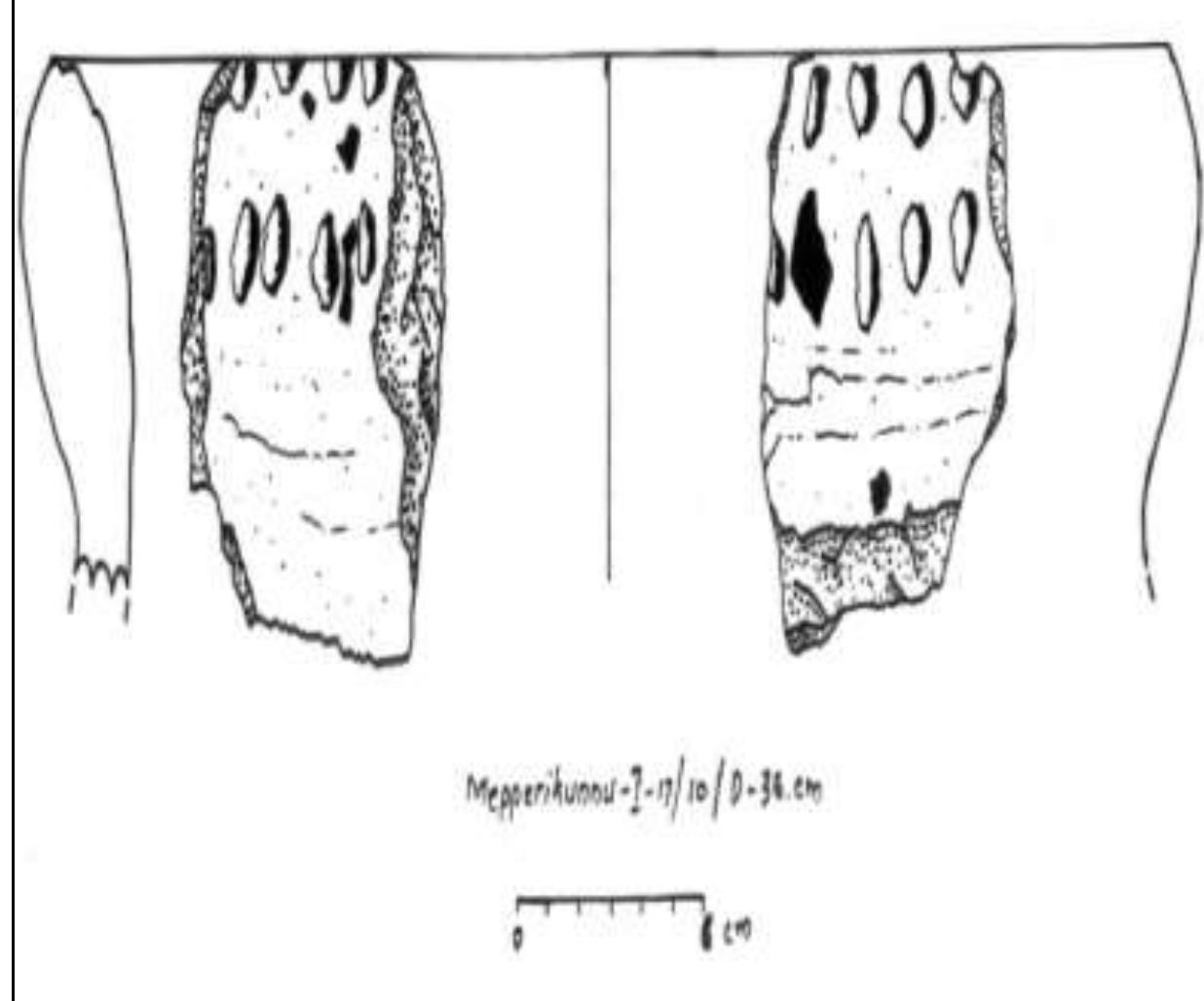 Fig. No. 20: Decorated Rim Fragment of Urn, Mepperikunnu  Fig. No. 21: Drawing of the Urn Rim 
