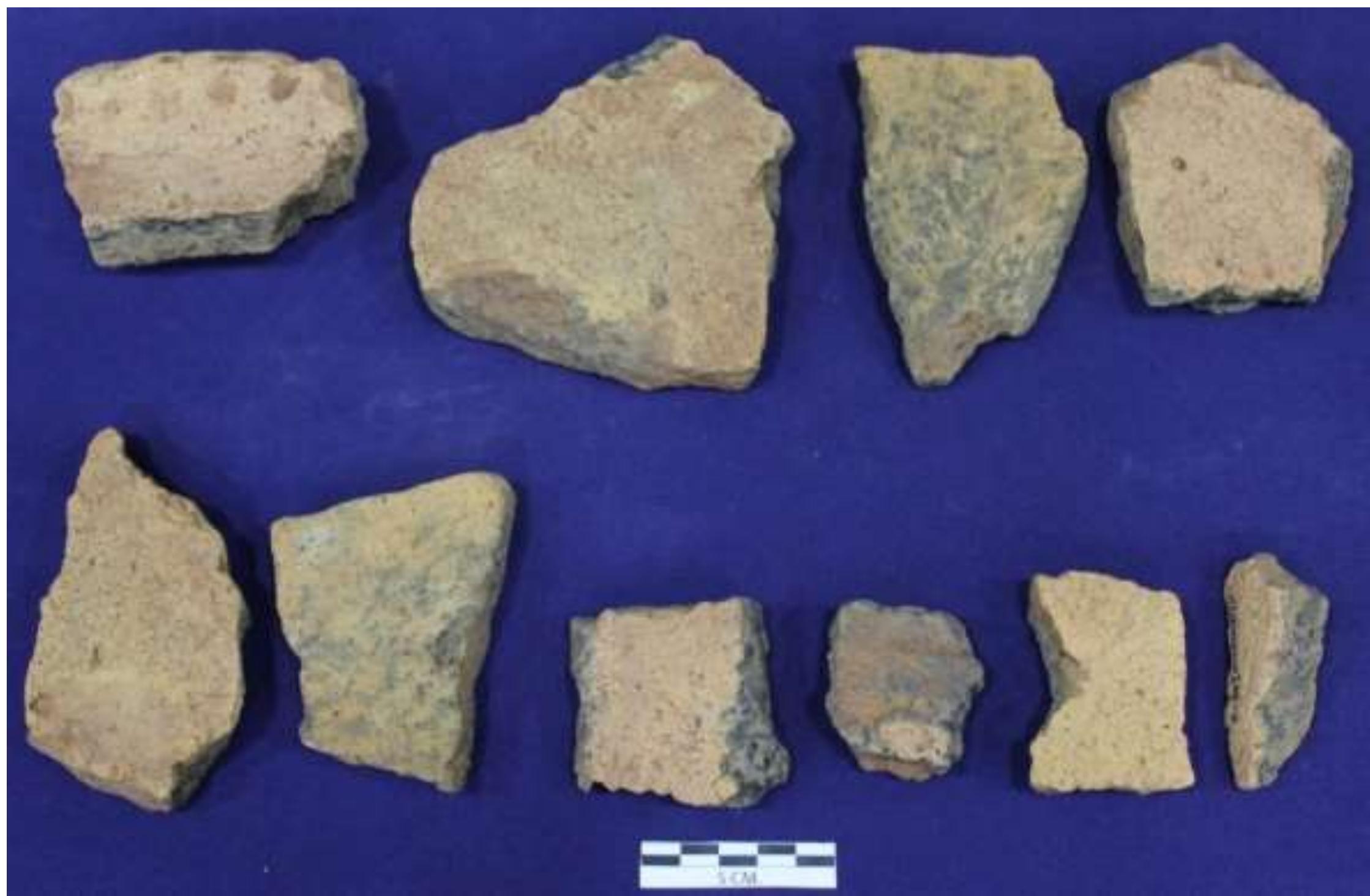Fig. No. 22: Sherds of Urn, Mepperikunnu 