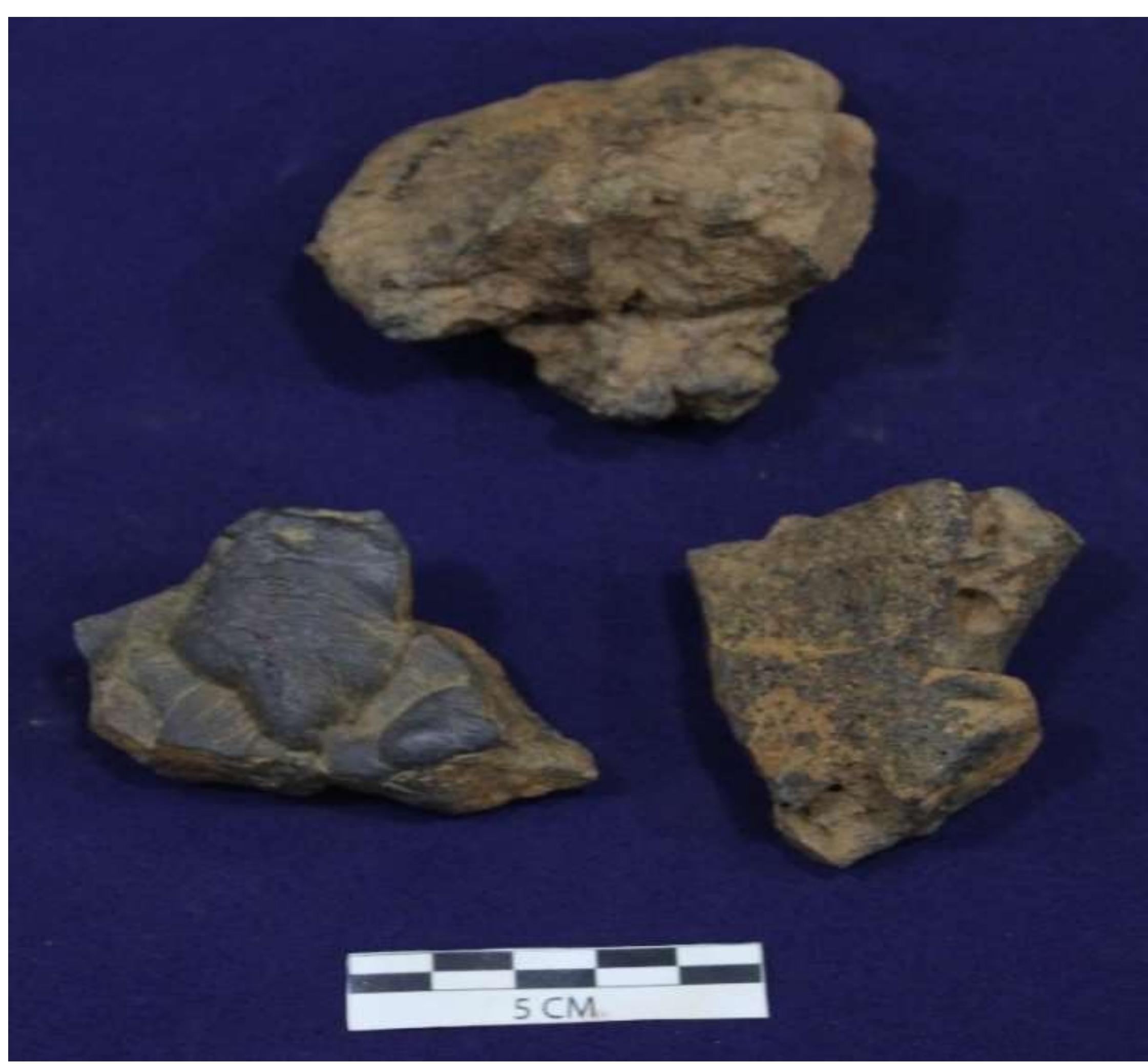 Fig. No. 27: Iron Slags ,Vendol  Fig. No. 26: Dish Fragment, Vendol 