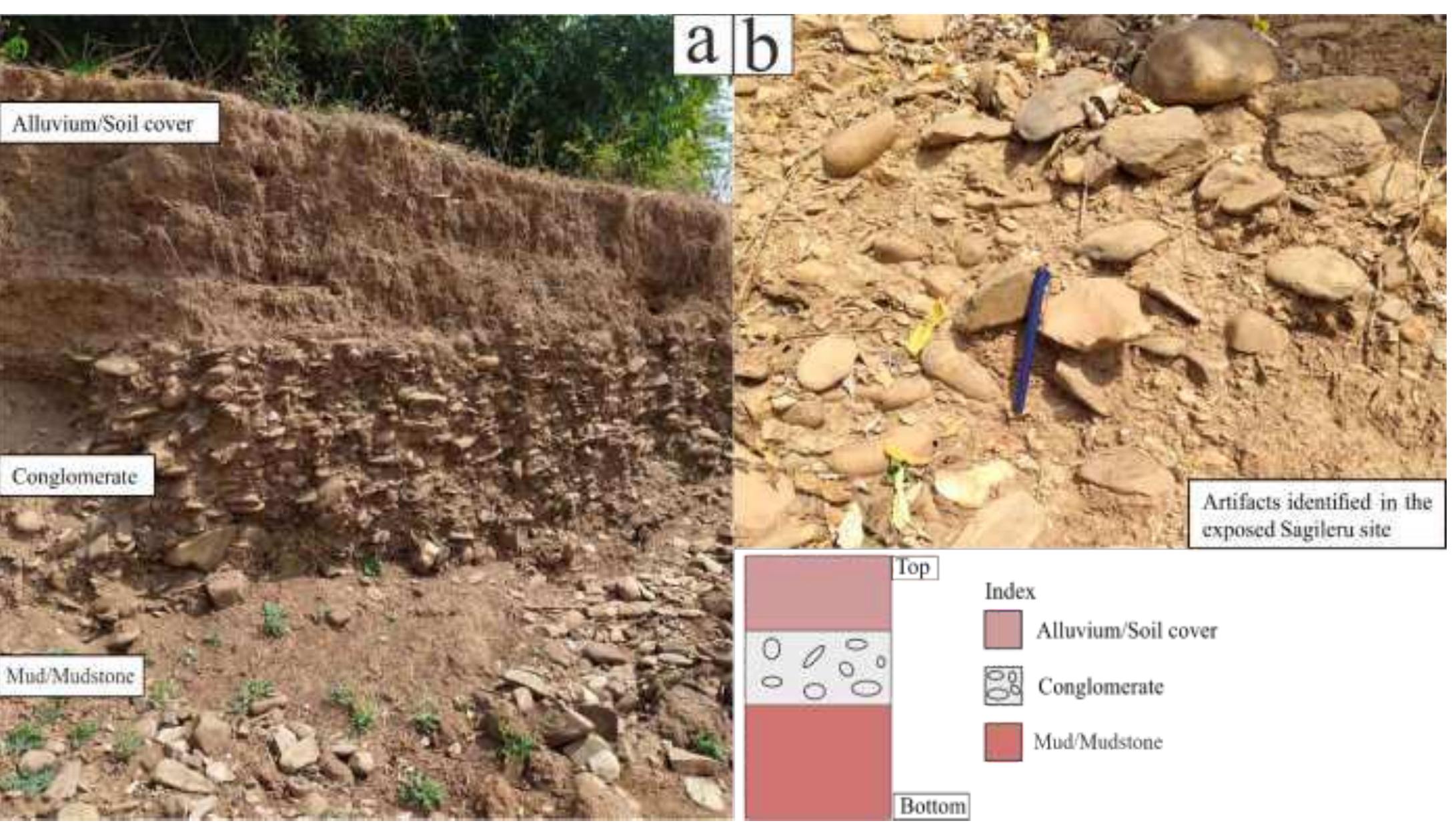 Fig. No. 01: The riverbank showing gravel conglomerate horizon embedded between mud/mudstone and soil cover near Kondapeta site. 