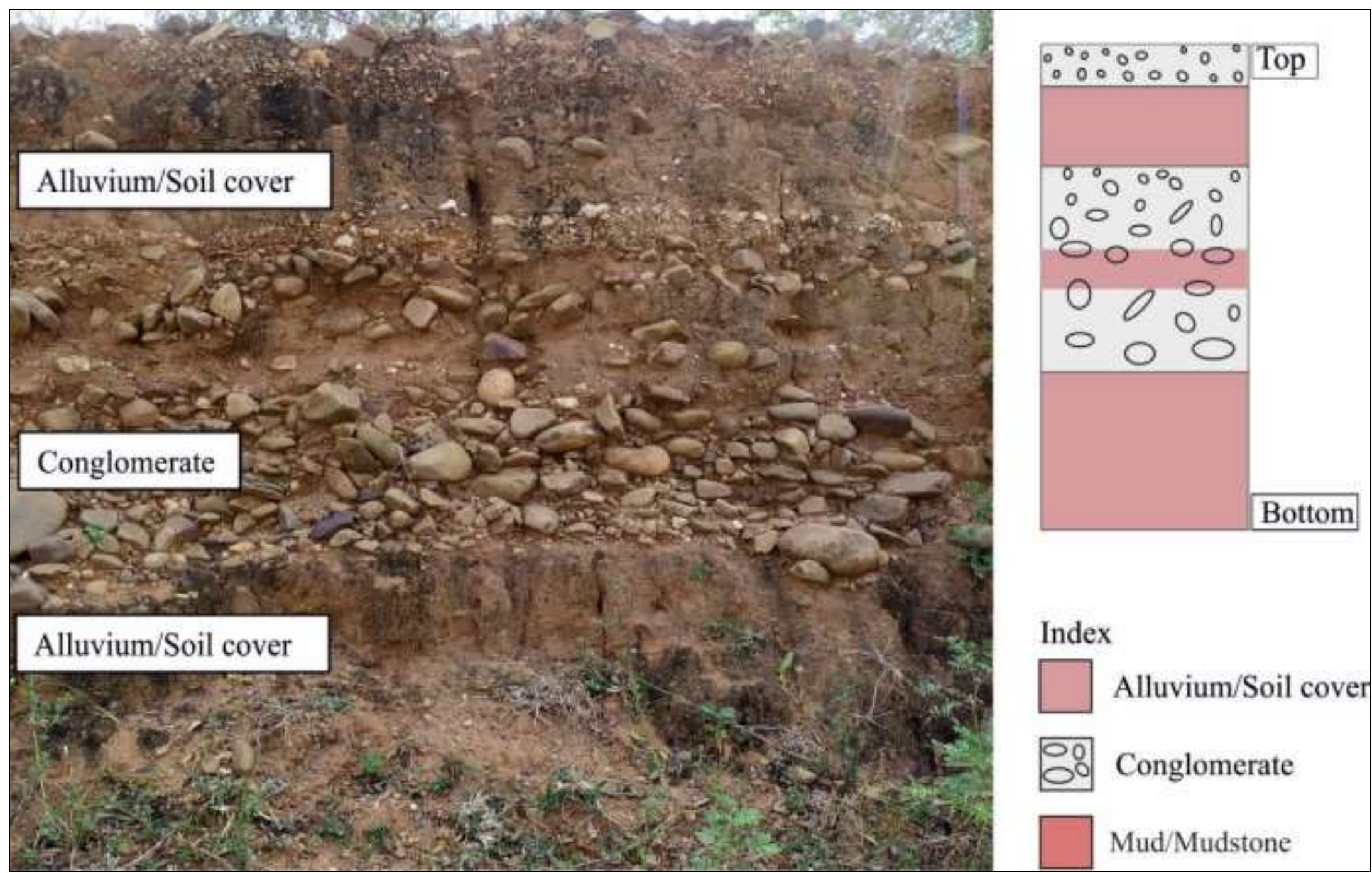 Fig. No. 03: Outcrop showing the presence of Conglomerate bed embedded with soil/alluvial, near Nallaguntla site  Methodology: The paper presents the findings of the preliminary survey of two already discovered archaeological sites Kondapeta and E.Ramapuram and two newly reported sites namely Modampalle and Nallaguntla. This was the first attempt to understand the ground settings of an archaeological field by visiting and recording the quintessential details. The study is fundamentally based on extensive exploratory ground surveying, which was commenced by surveying the overall geographical region and also the particular selected archaeological sites. This was done through direct visual observation to outline the geographical specifications of the area. The exploration of the area was done with the help of Toposheet number 57 1/15, 57 1/16 and software like google map and google earth were used for a better understanding of the region. The pictures of the stone tools in their original context were also taken. In the areas of exposed stratigraphy, direct visual observation was made to understand the general aspects of the geological layers. The lithics found were analysed to put them in a cultural chronological  sequence. 