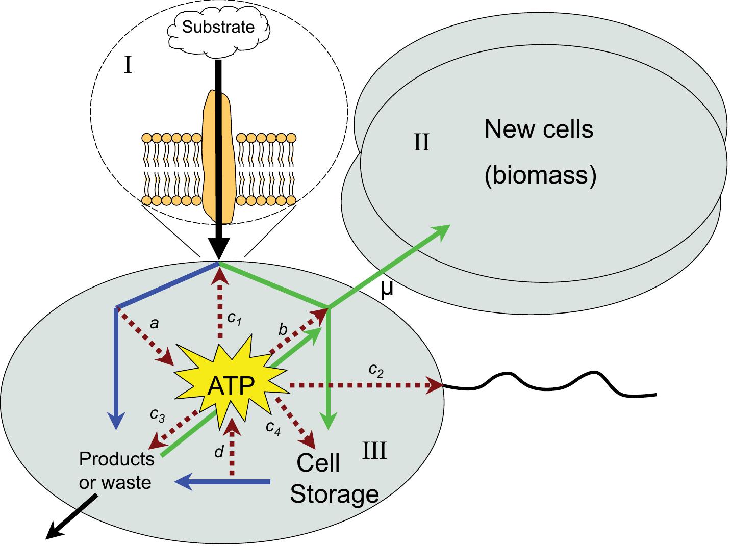 (PDF) Microbes and the Dissipation of Energy and Respiration: From ...