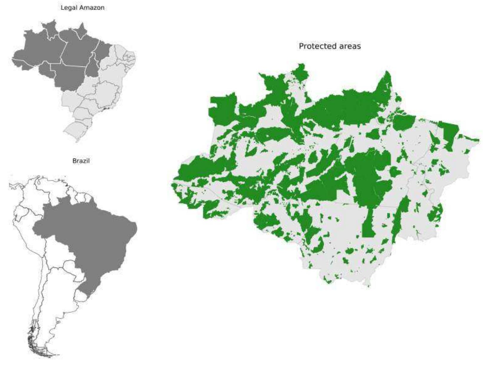 (PDF) Efficient Forestation in the Brazilian Amazon