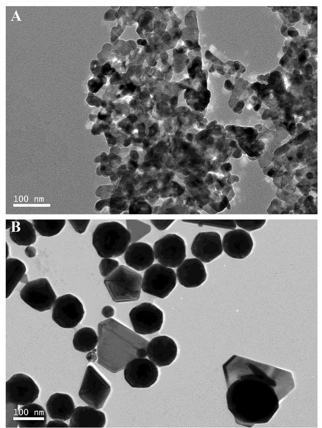 Transmission electron microscopy (tem) imaging showing the