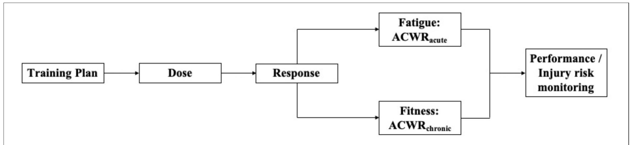 (PDF) Editorial: Acute: Chronic Workload Ratio: Is There Scientific ...