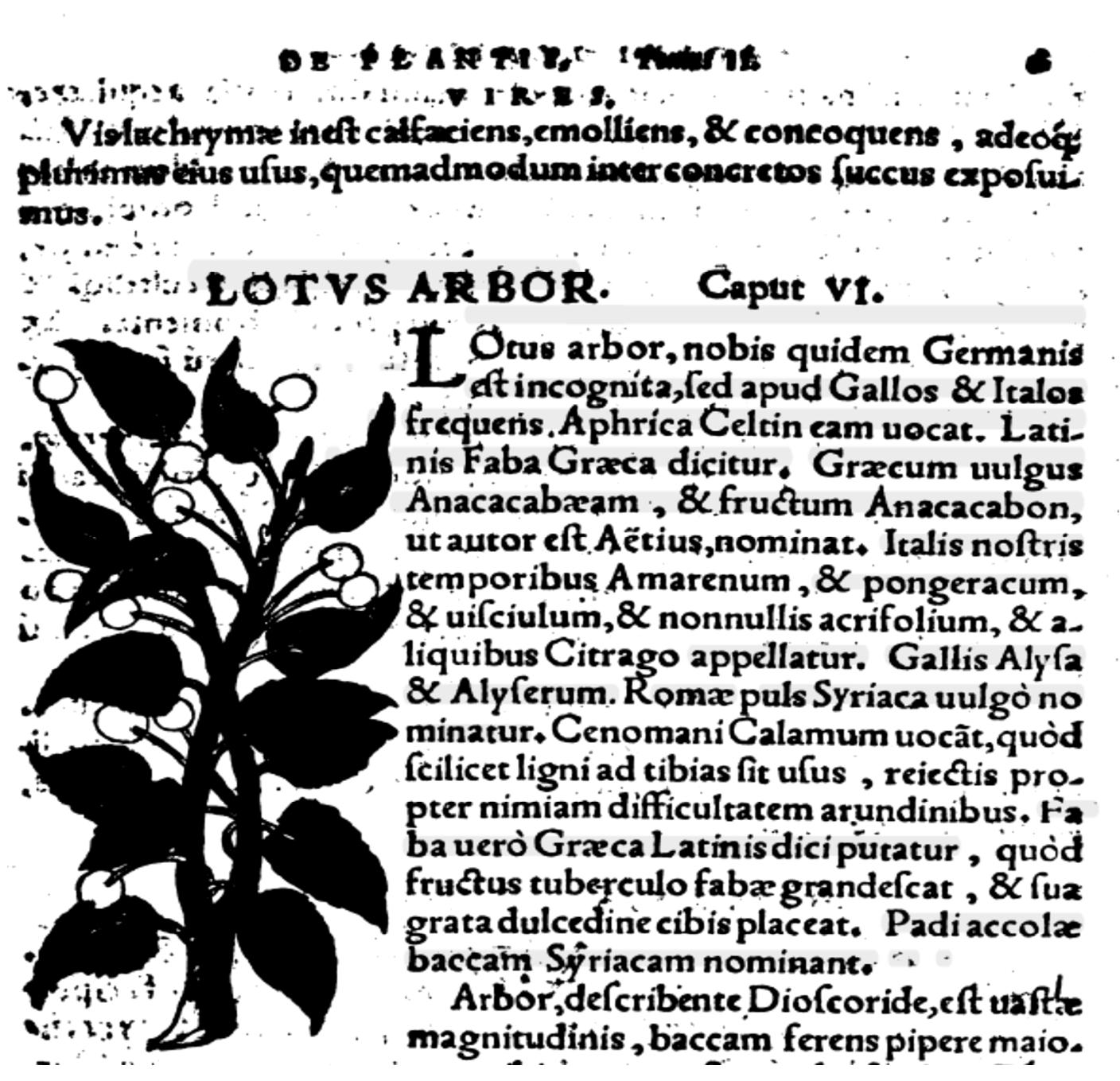 Internazionale1552 - Susanna Banchero | PDF in linea | FlipHTML5, image size:1408x1359