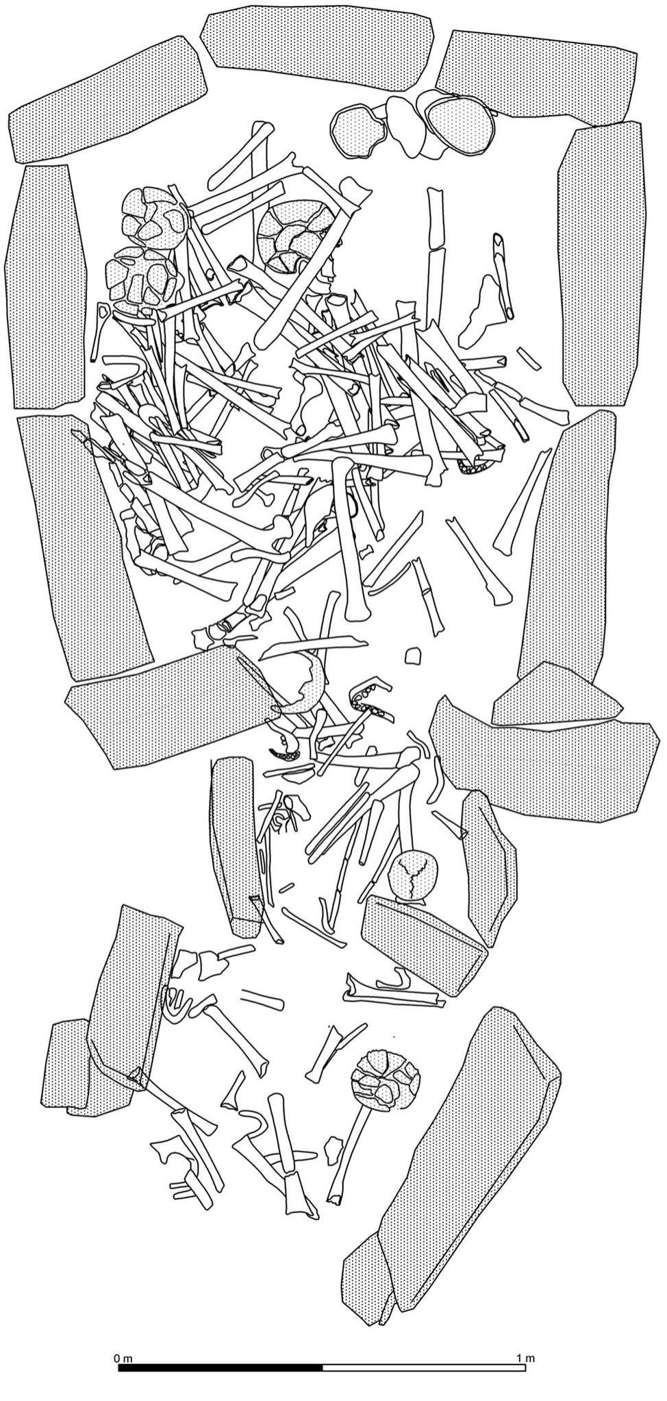 Fig. 3 Human bone remains from Tomb 10 