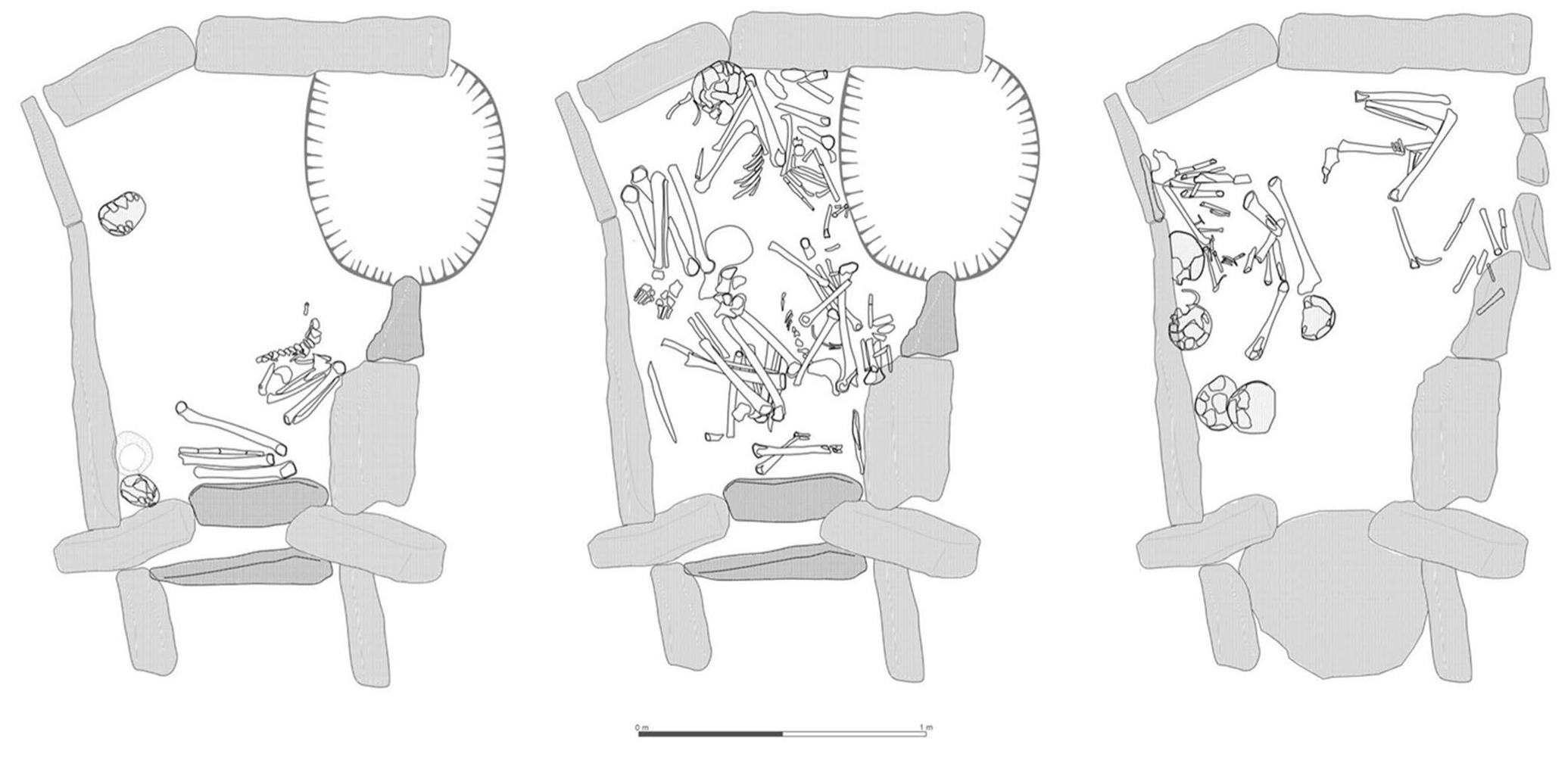 Fig.4 Human bone remains from Tomb 11 (left, top of the Phase A; center, Phase A; right, Phase B) 