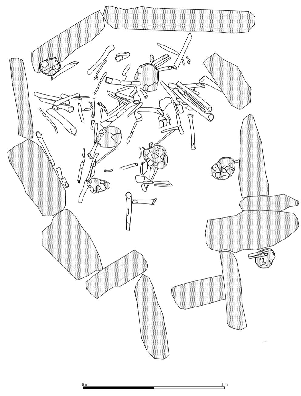 Fig.5 Anthropological remains from Tomb 15 