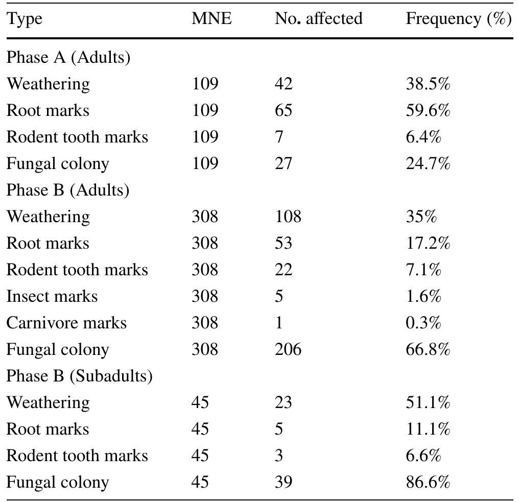 Table 3 Taphonomic processes of Phases A and B in Tomb 3 accord- ing to adult and subadult age groups 
