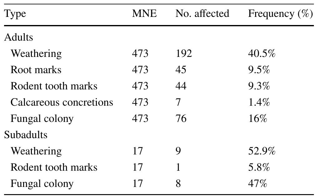 Table5 Taphonomic processes of Tomb 10 according to adult and subadult age groups 