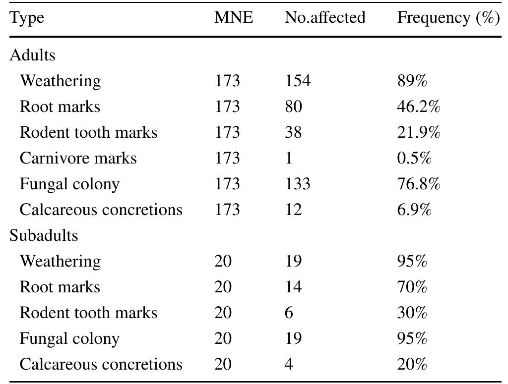 Table9 Taphonomic processes of Tomb 15 according to adult and subadult age groups 