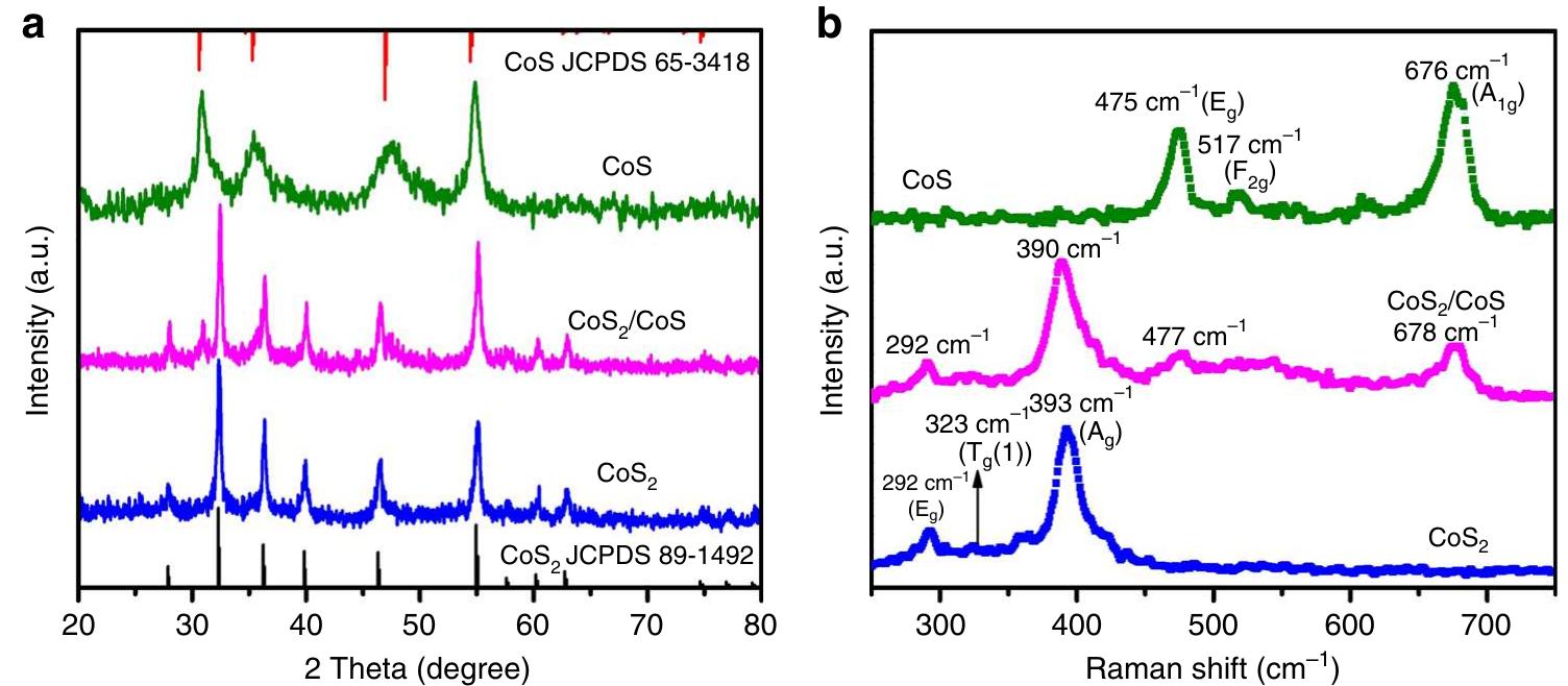 (PDF) Highly active nanostructured CoS2/CoS heterojunction ...