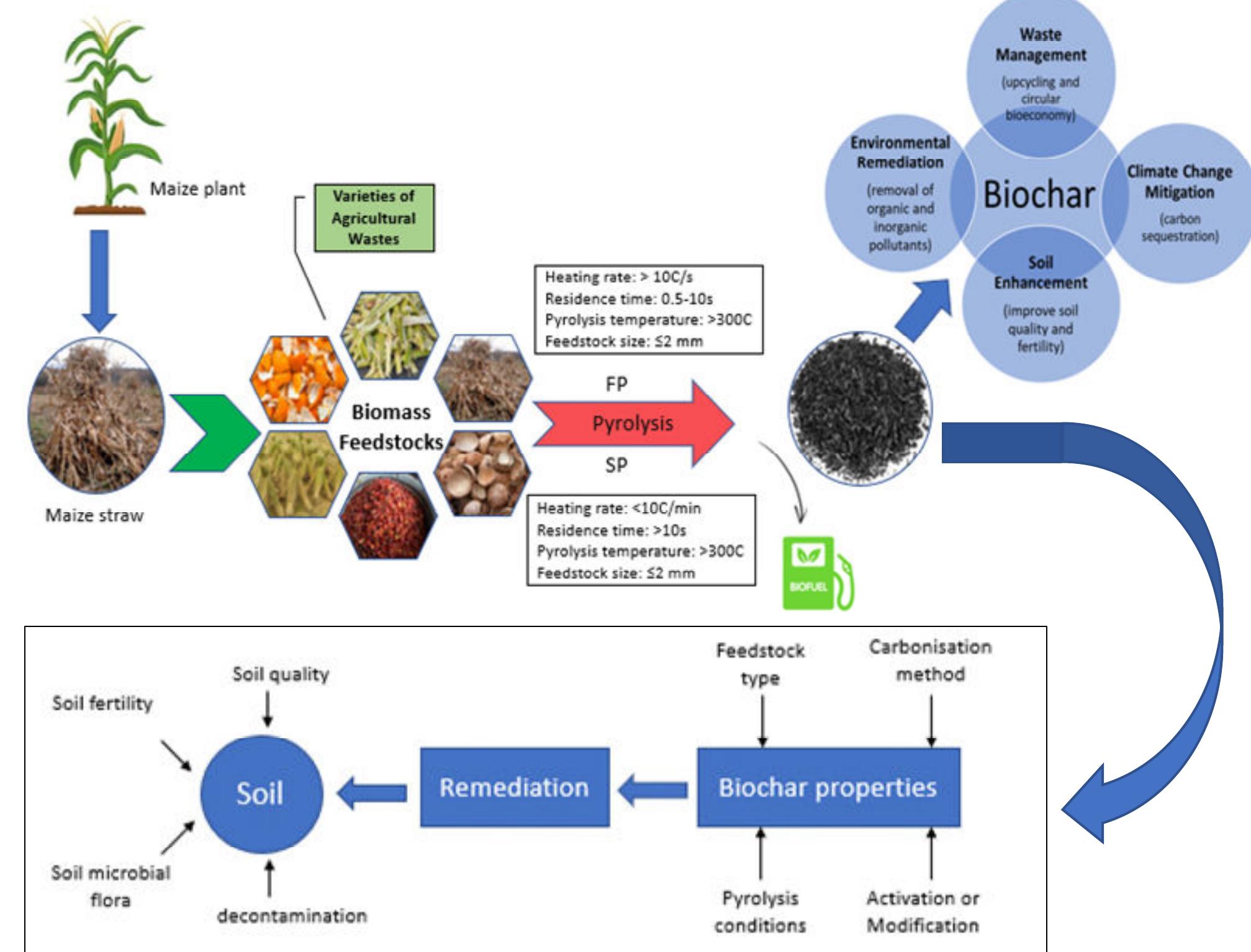 BP Trials Myno Carbon Liquid Biochar for Soil Remediation