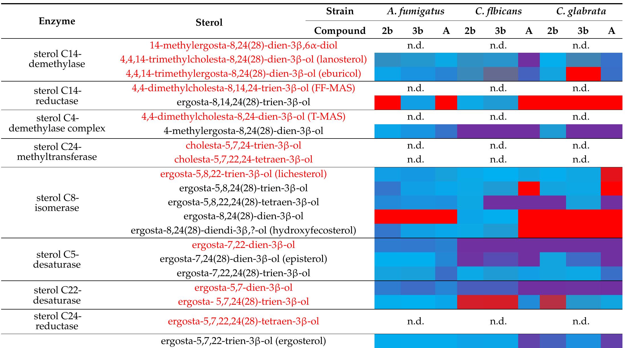 Table 4. Identification of the target enzyme(s) in ergosterol biosynthesis. Heatmap of the detected sterols. The relative sterol amount has been normalized to that of untreated samples [33]. Red: marker sterols according to Miiller et al. [3]; boxes in red colour > 10-fold change, in blue colour no changes were observed, and in purple colour <0.1-fold change. A, amorolfine hydrochloride; n.d., not detected; (), trivial name; ?, unknown position of the second hydroxy group. Test concentrations: Aspergillus fumigatus: amorolfine hydrochloride (4.0 ng/mL), 2b (3.5 ug/mL), 3b (4 ug/mL); Candida albicans: amorolfine (4.0 ug/mL), 2b (3.5 ug/mL), 3b (4.0 pg/mL); Candida glabrata: amorolfine hydrochloride (7.5 ug/mL), 2b (3.5 pg/mL), 3b (4.0 ng/mL).  Compound 2b showed a similar sterol pattern in A. fumigatus and C. glabrata as amorolfine, indicating a similar mode of action. In C. albicans, the low MIC values (Table 2) cannot fully be explained by a moderate accumulation (less than ten-fold) of ergosta- 5,7,24(28)-trien-38-ol, which is a marker sterol for inhibition of sterol C5-desaturase [3]. There was no hint for inhibition of the enzyme sterol C14-reductase or the enzyme sterol 