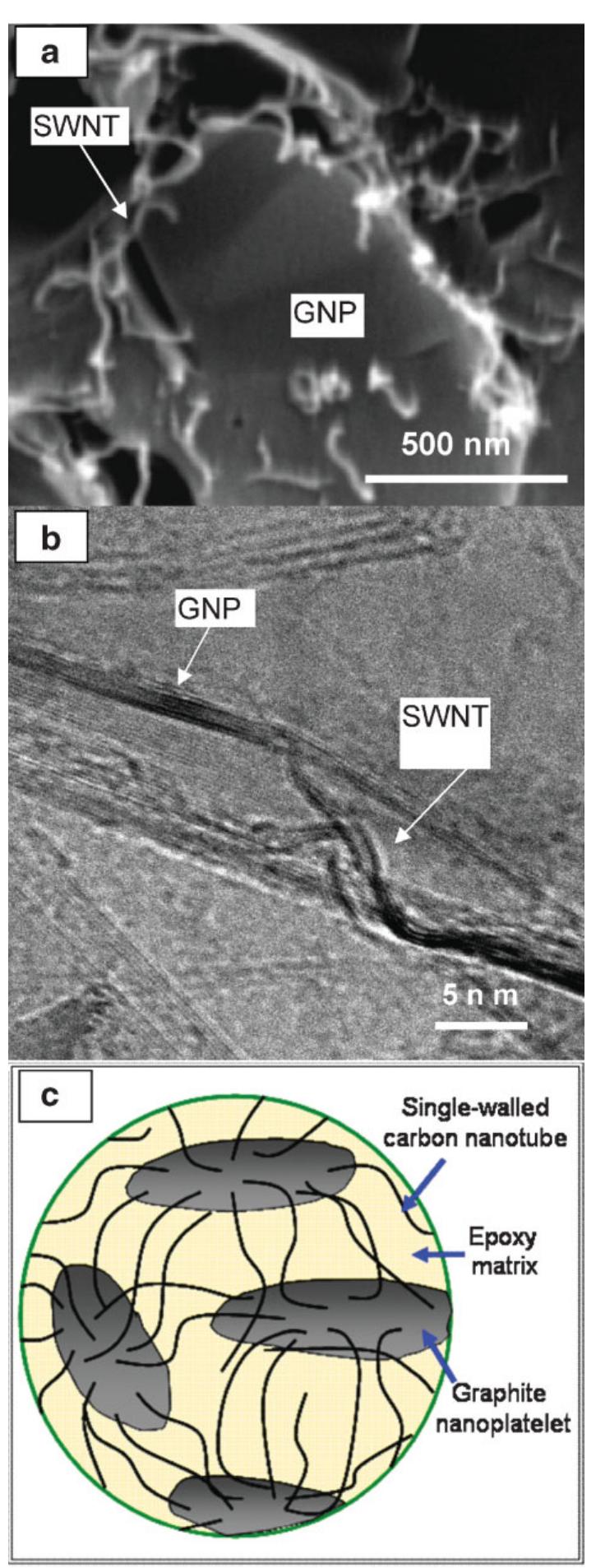 A) sem and b) tem images of the cross-section of gnp-swnt