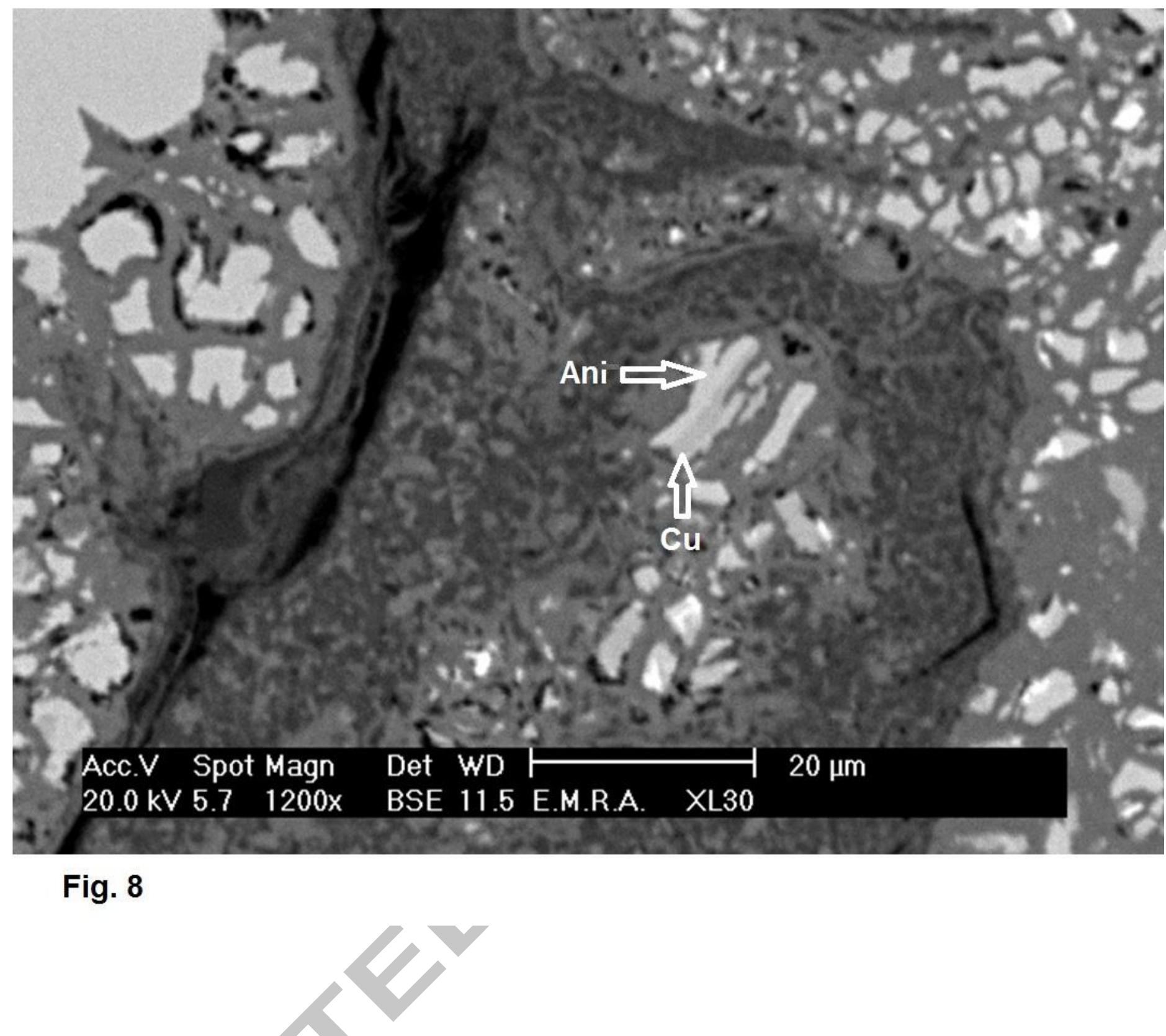 Figure 8 - Microanalysis and genesis of Cu-Ag minerals in