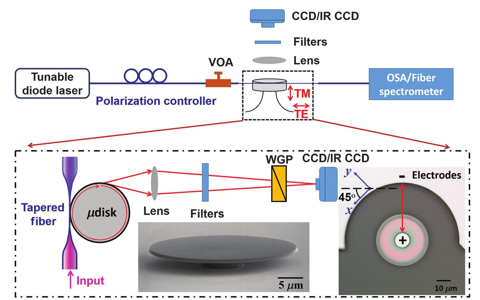 The experimental setup for lasing and polarization