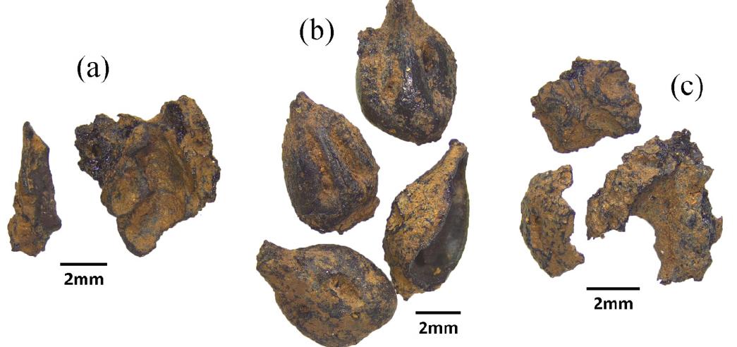 (PDF) Examining the Ritual Landscape of Bronze Age Crete through the ...