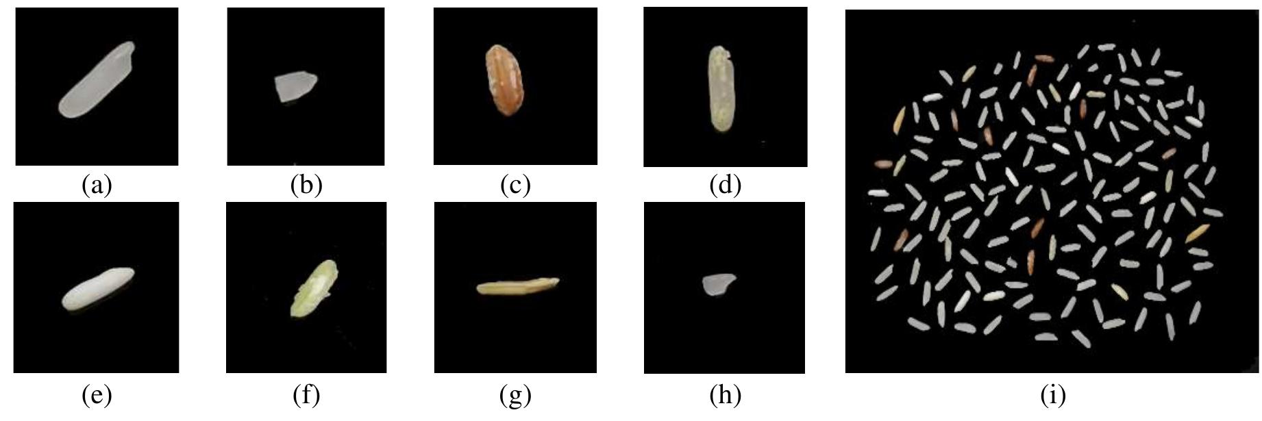 (PDF) Thai Hom Mali rice grading using machine learning and deep ...