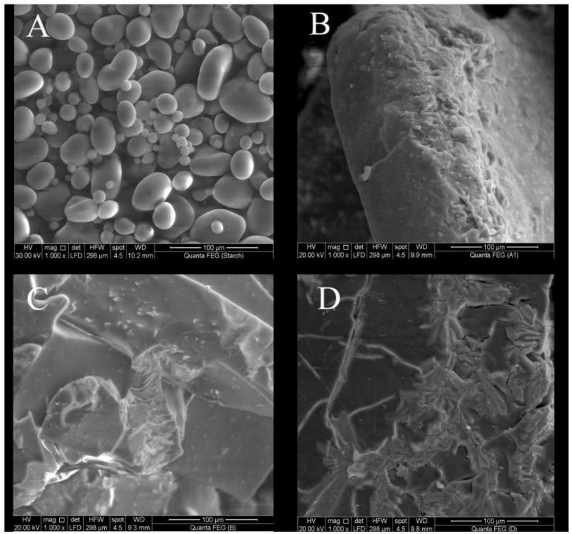 St Microscopy Scanning electron microscopy (sem) images of a (st), b (g
