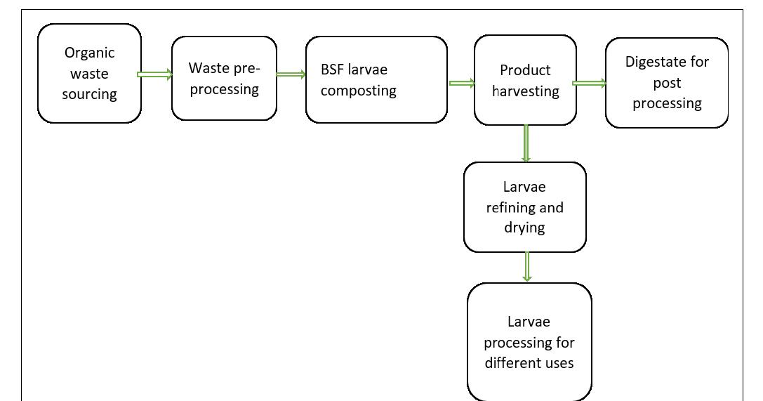 (PDF) Resource recovery from organic wastes using Black Soldier Fly Larvae
