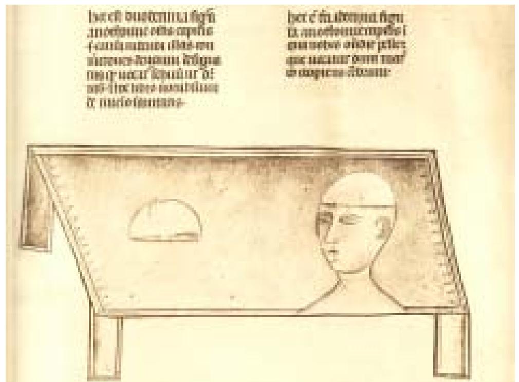 Fic Plate Figure 5 - from The neuroanatomical plates of Guido da