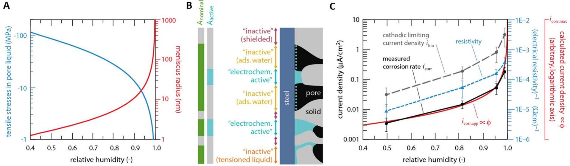 Liquid Inverse Rata (PDF) Electrochemistry and capillary condensation theory reveal the ...