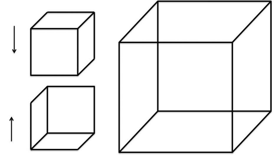 Fig. 3 The Necker cube is not an illusion but a kinematically-motivated perception. Because the image is one-sided (Le., no tinkering is possible), the optical information about occlusion (i.e., which overlapping lines are nearer and which are farther) is unavoidably ambiguous. Source: Author 