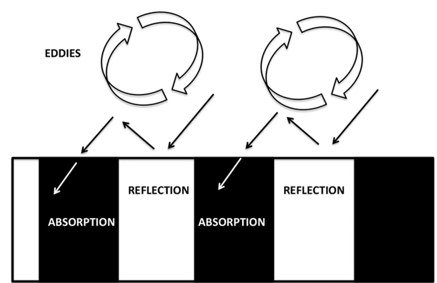 Fig. 4 The white colour reflects, and the black absorbs, sunlight. The zebra pattern creates variations in air temperature just above the surface of the skin, thereby creating an air current and a natural cooling system. The so-called micro-eddy convection effect reduces the zebra's body temperature by up to 8°C (Shon et al, 2017). Source: Author 
