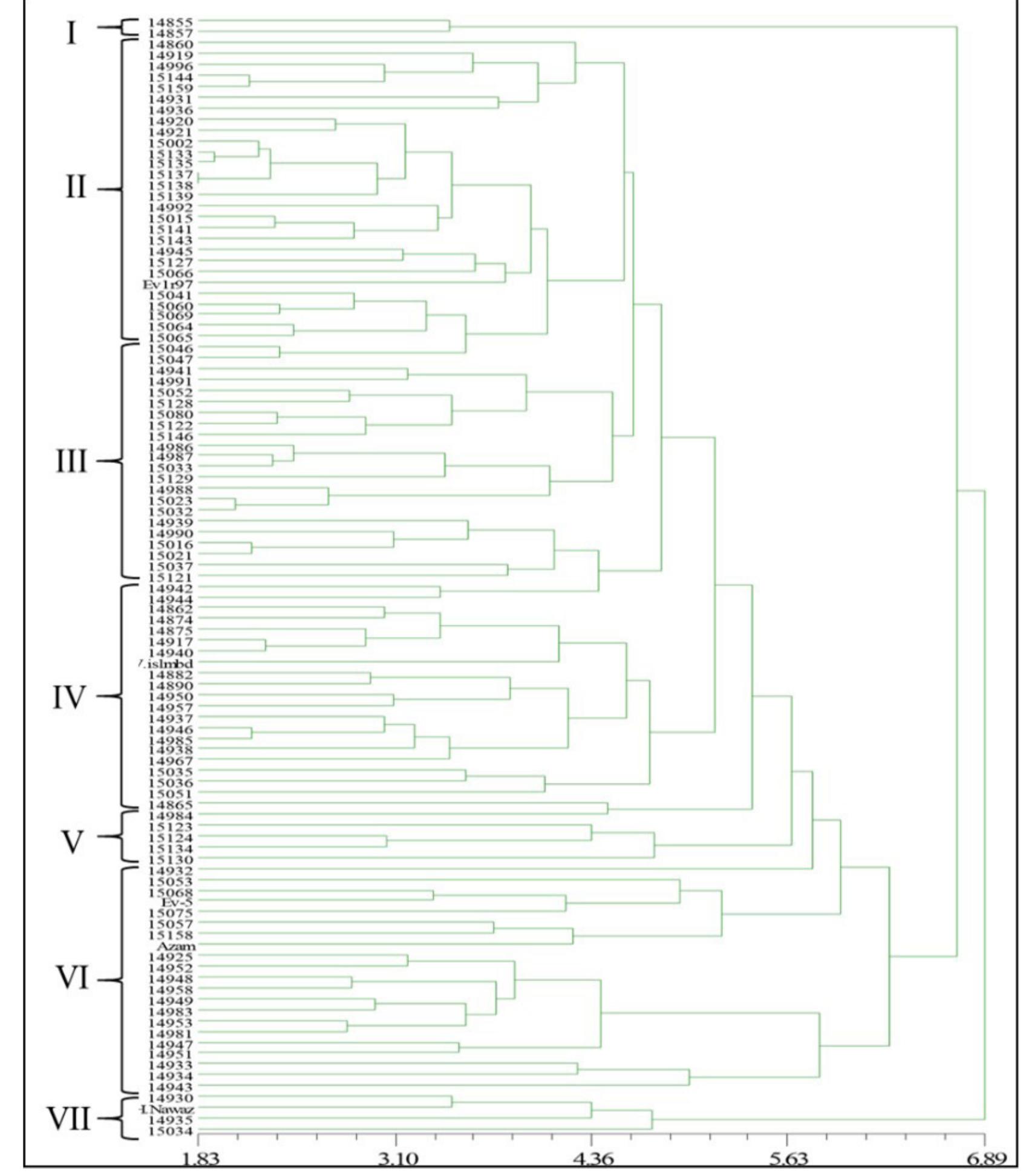 Dendrogram illustrating the genetic association between