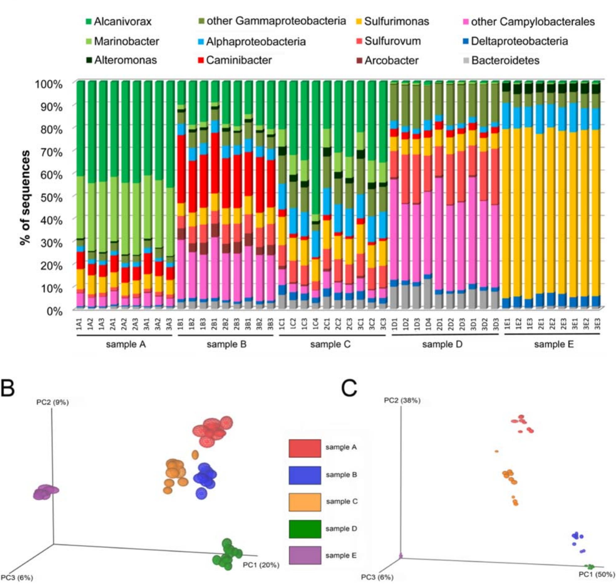 A. proportions of bacteria recognized in the three