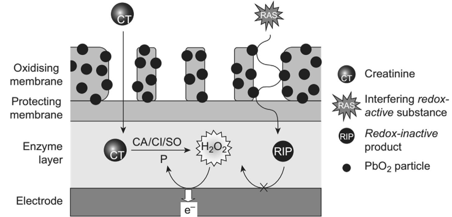 (PDF) Functionalization and customization of polyurethanes for ...